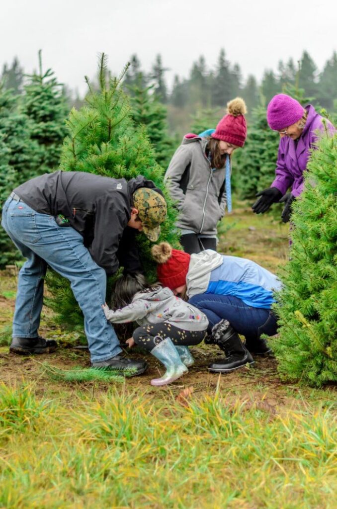 children-with-relation-family-work-toegther-1.